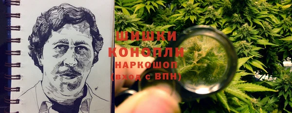 индика Тихвин