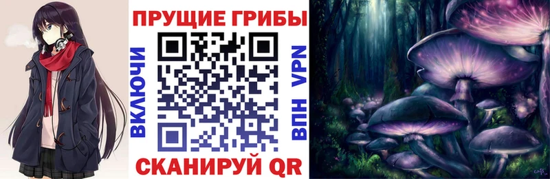 Псилоцибиновые грибы Magic Shrooms  купить наркоту  Саров 